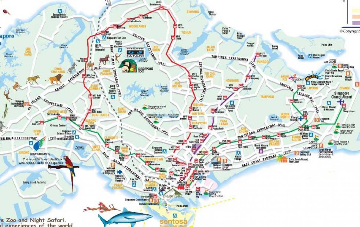 mapa de carreteres de Singapur